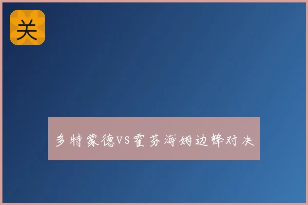 多特蒙德vs霍芬海姆边锋对决