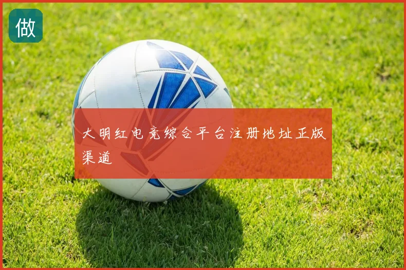 大明红电竞综合平台注册地址正版渠道